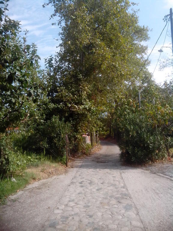 Δωμάτια Αποστολούδια Παναγιώτη Θέρμα Εξωτερικό φωτογραφία